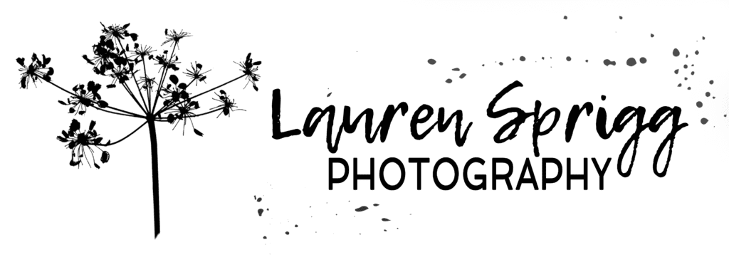 Albany Wedding Photographer